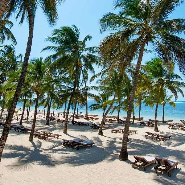 Diani Beach — Indian Ocean Coast, Kenya